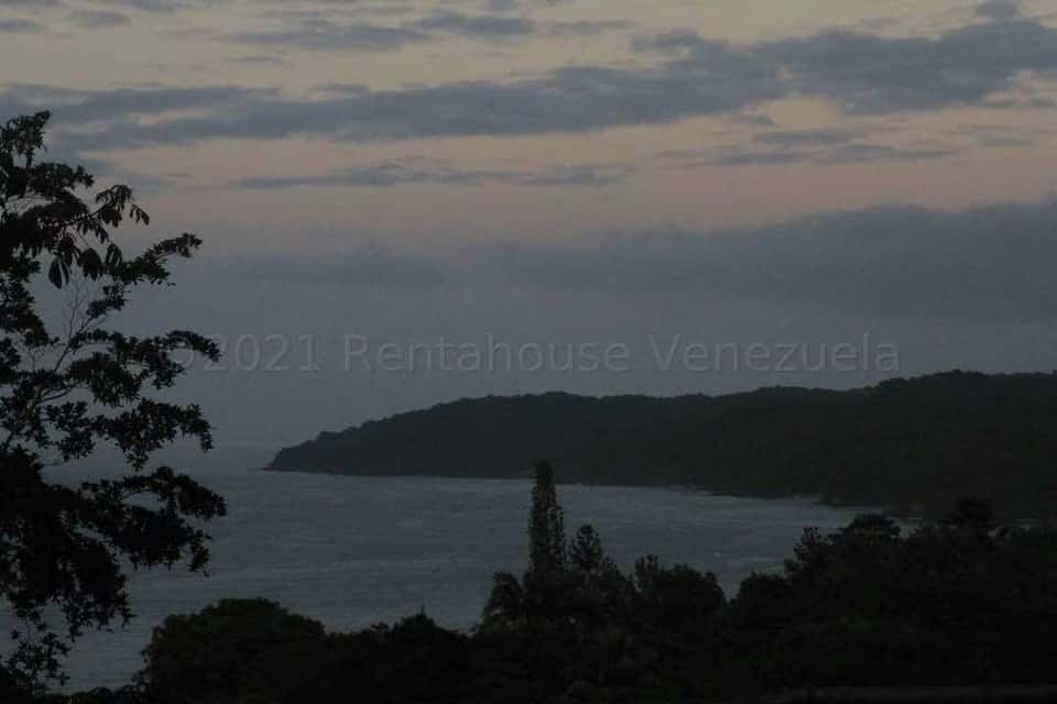 View 2