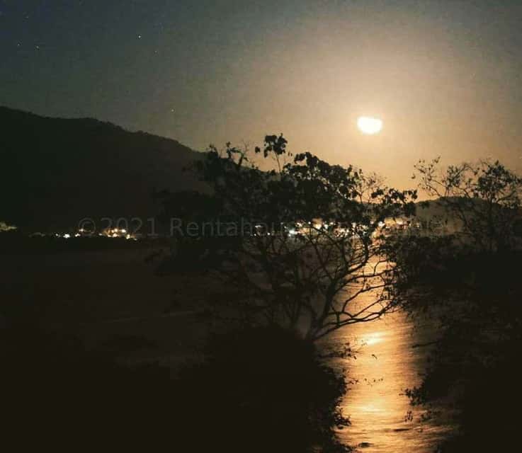 View 5