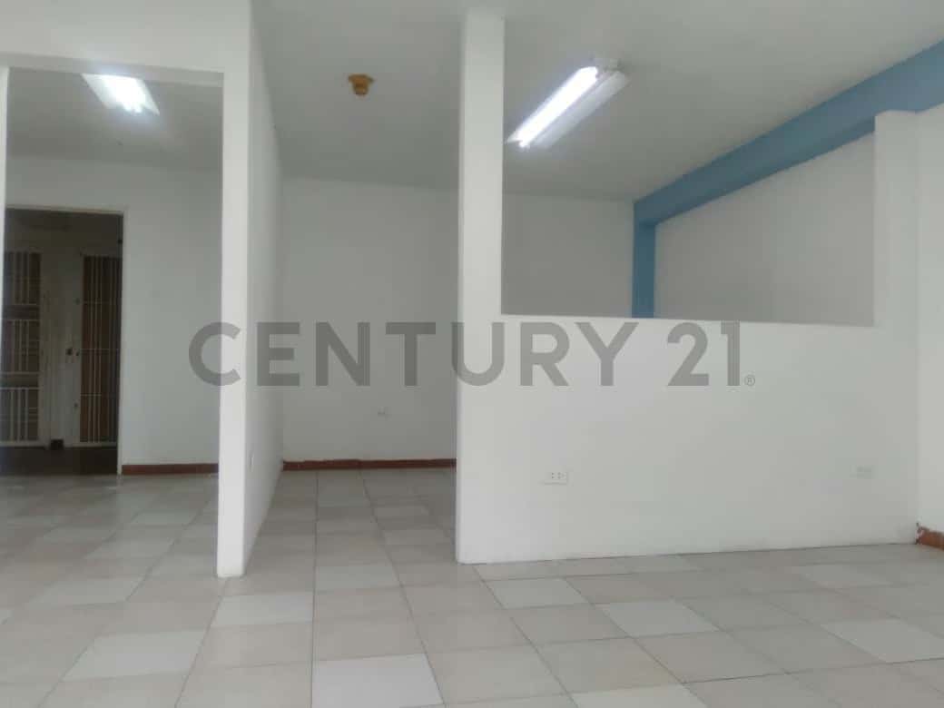 Vista 2