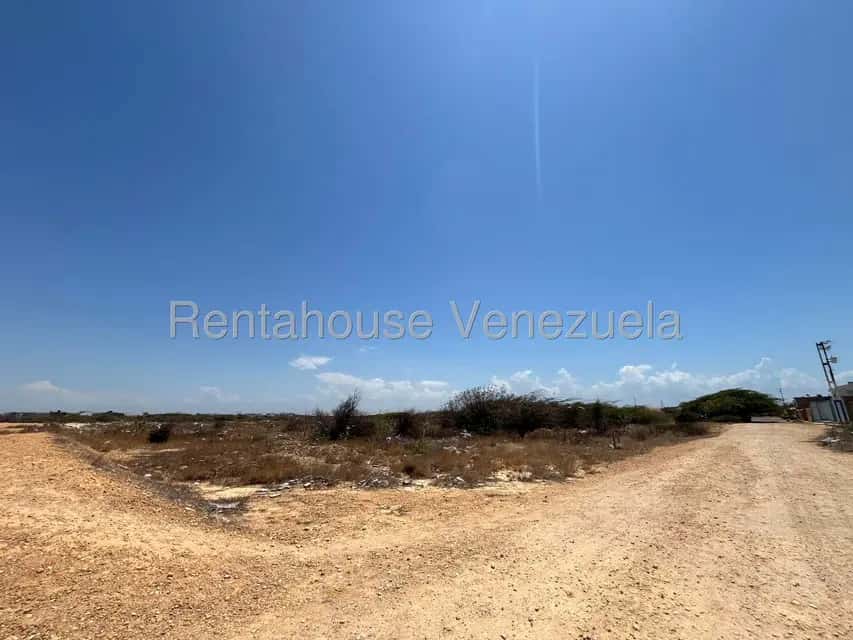 Vista 1