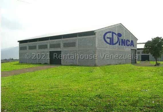 Vista 1