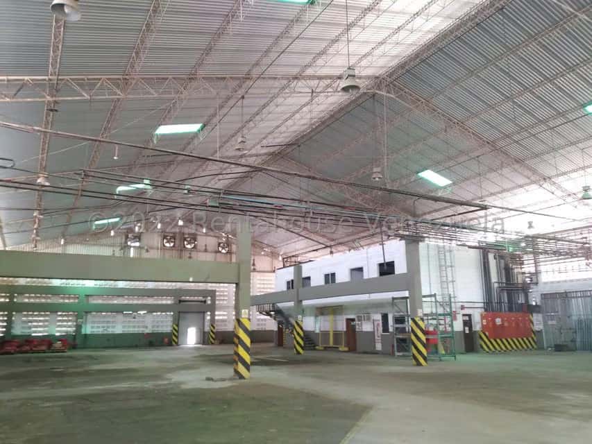 Vista 5