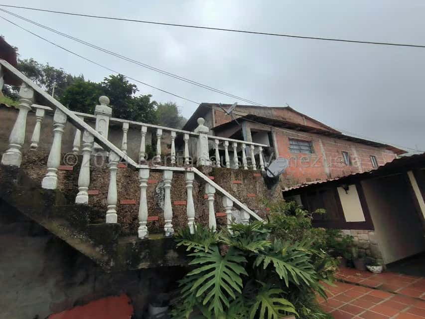 Vista 16
