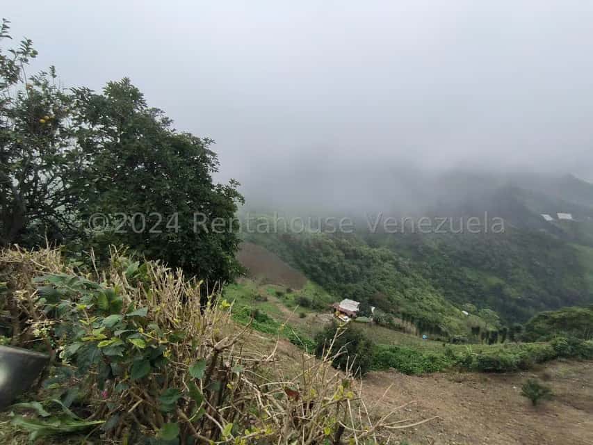 Vista 4