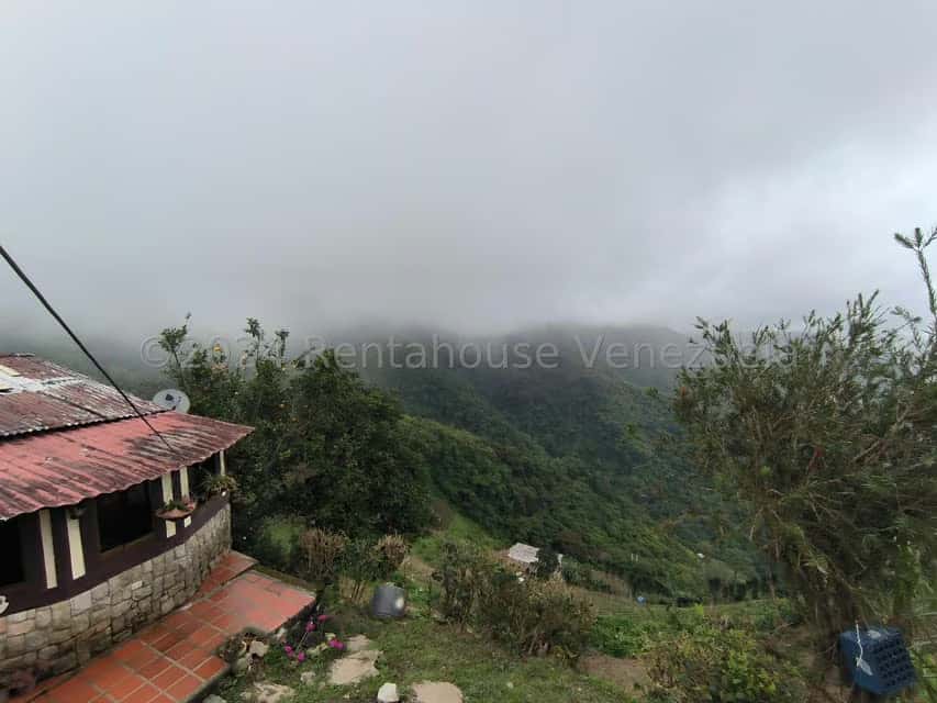 Vista 5