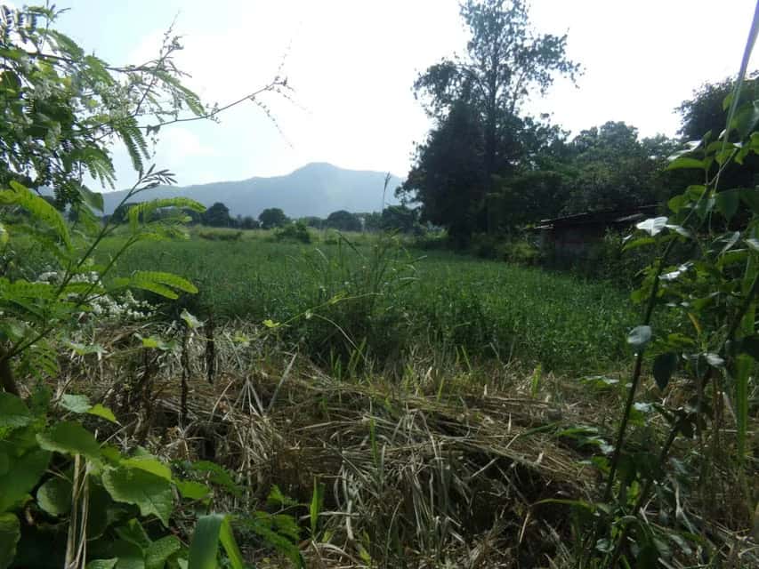 View 2
