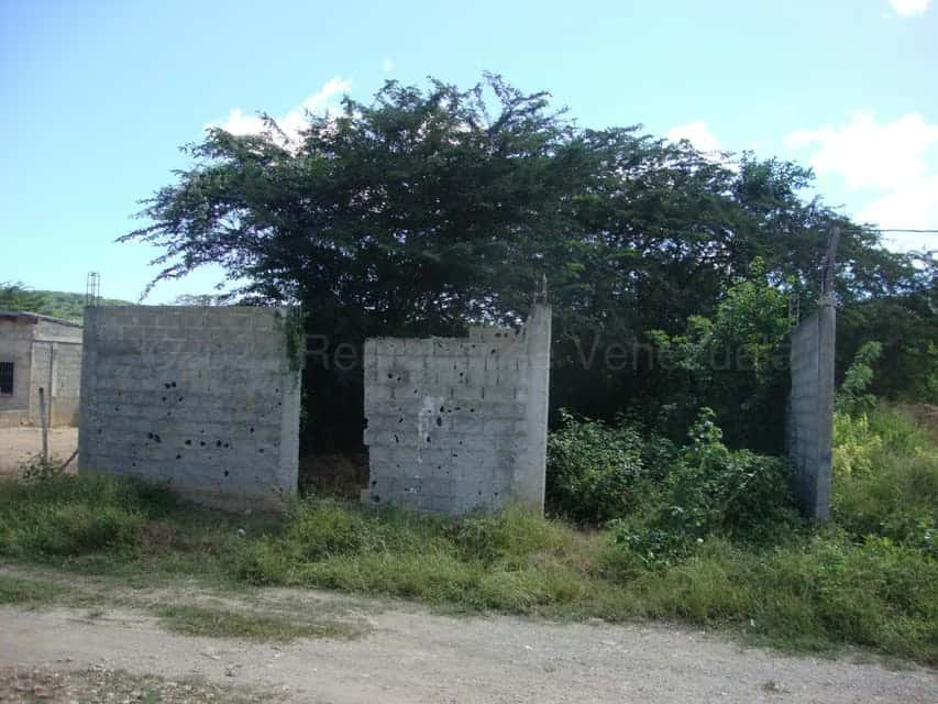 Vista 14