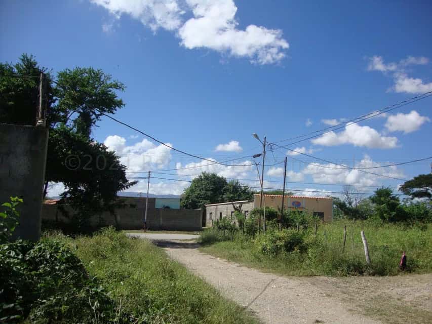 Vista 16