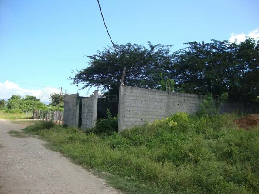 Vista 5