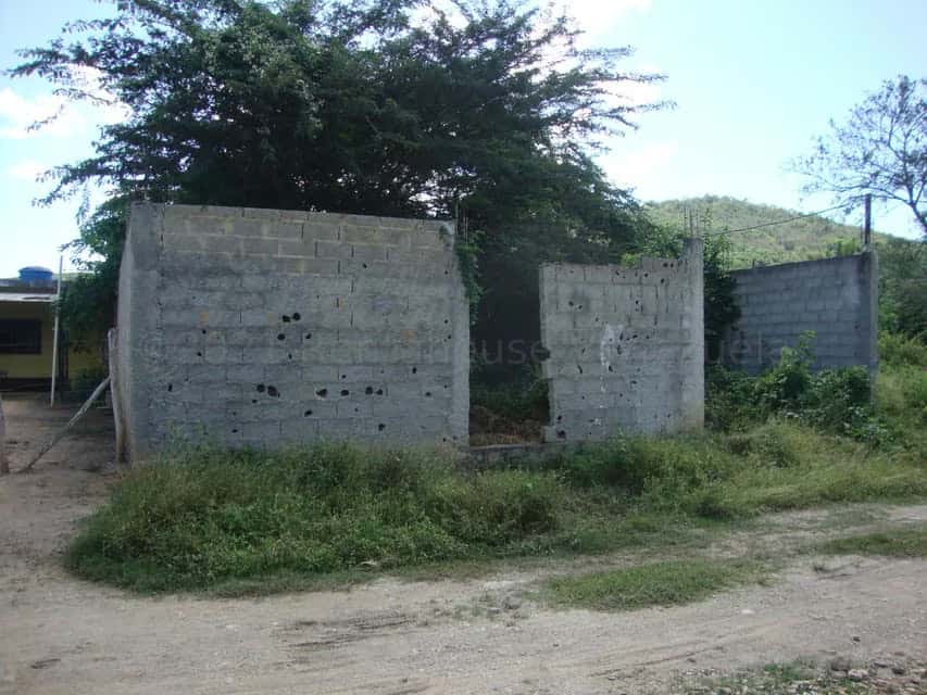 Vista 10