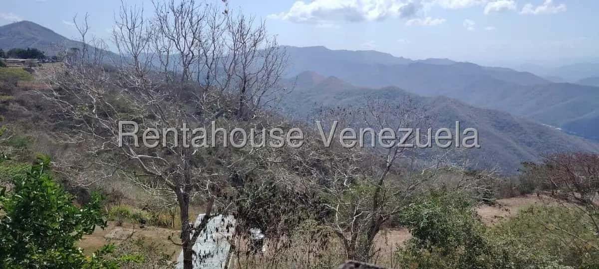 Vista 27