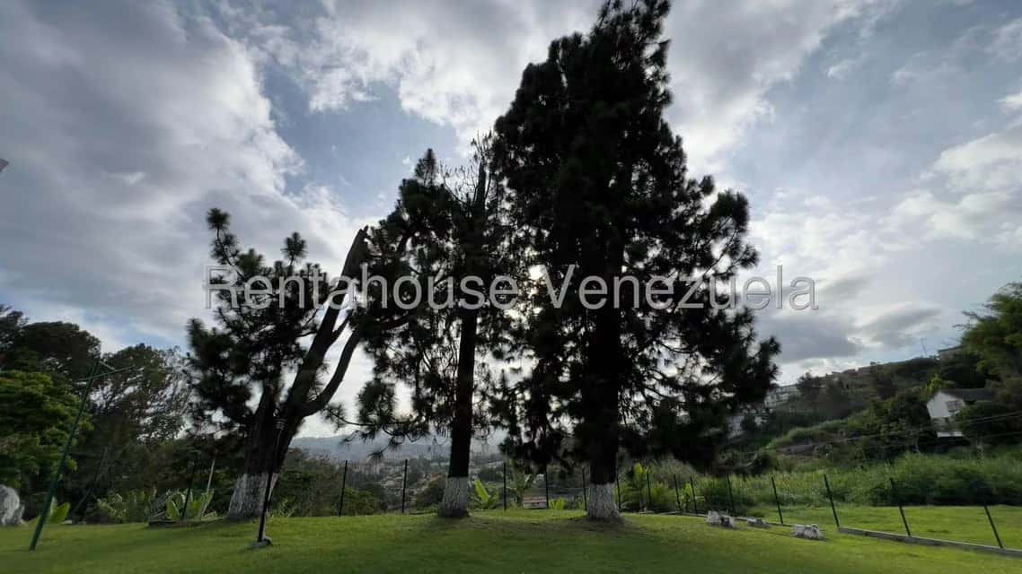 View 26