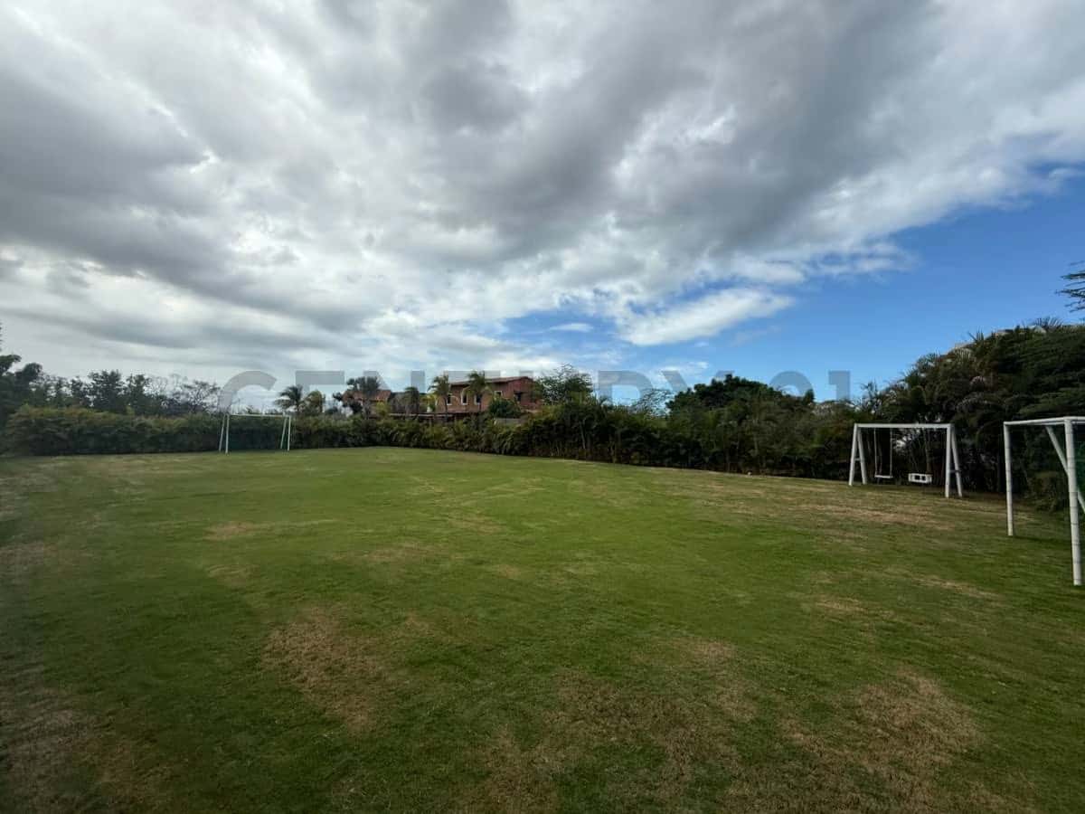 Vista 14