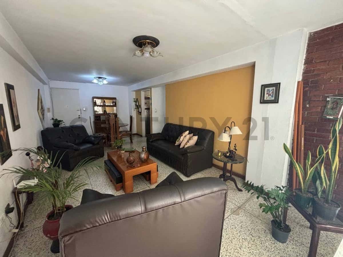 Vista 12