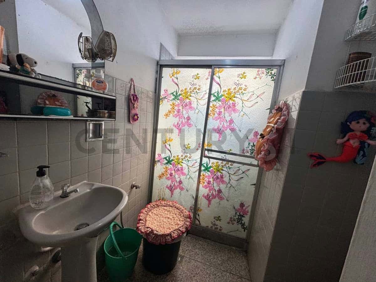Vista 19