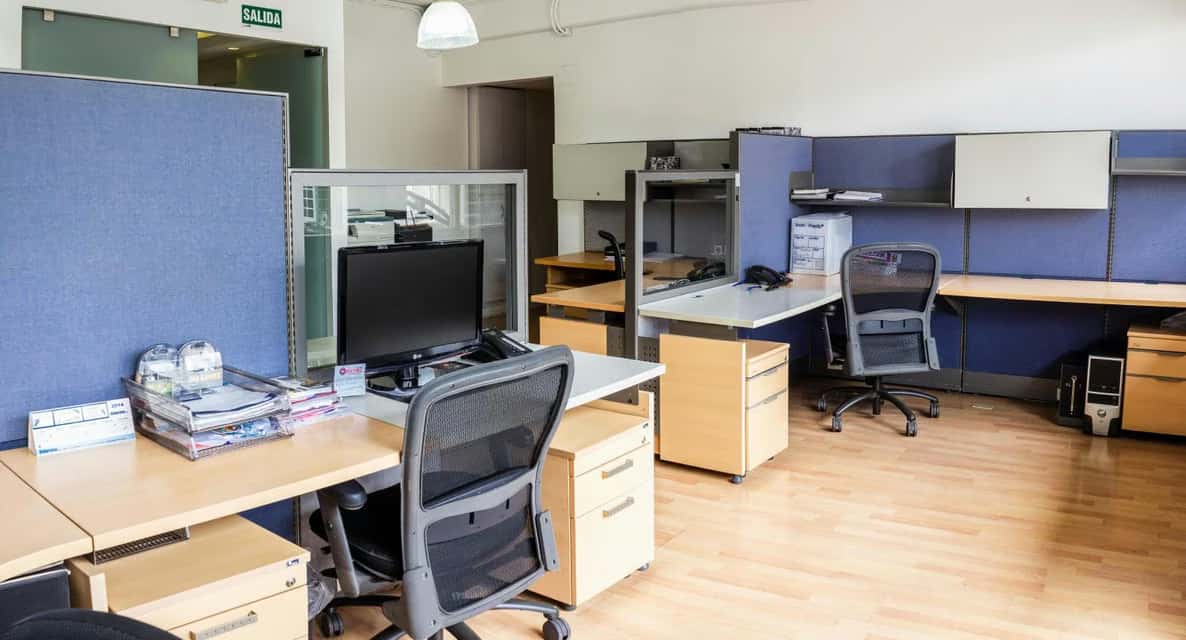 Vista 5