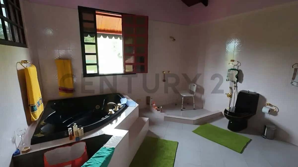 View 19