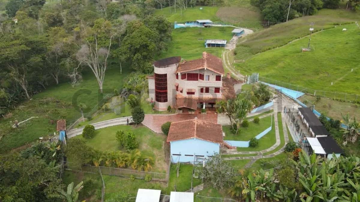 View 22