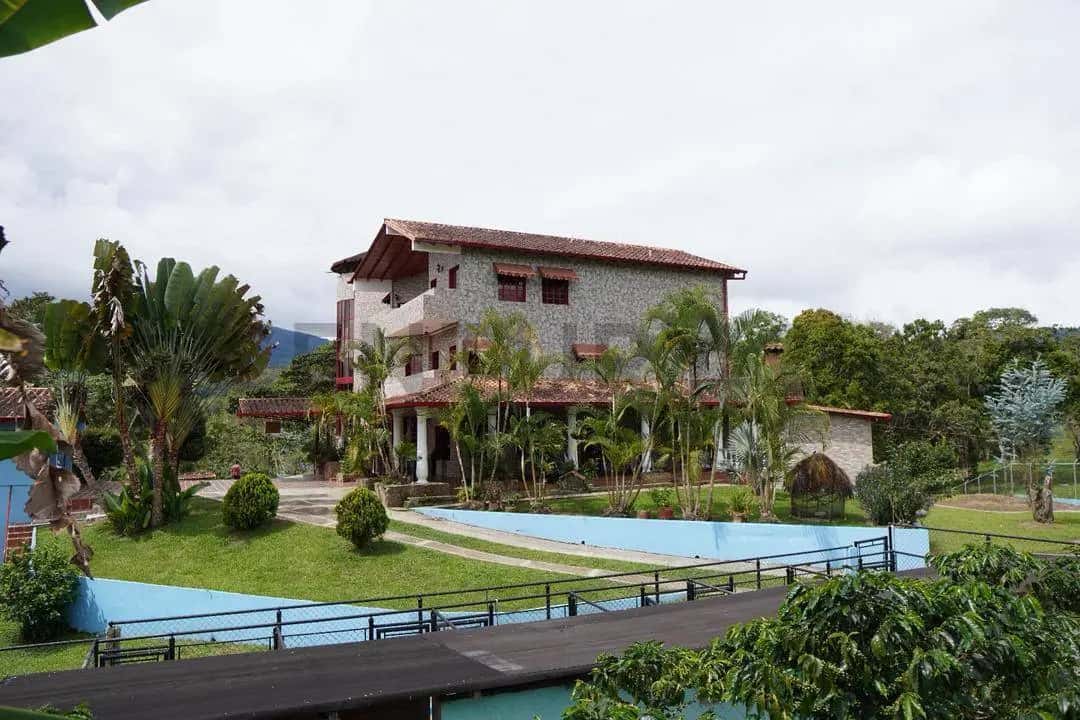 View 24
