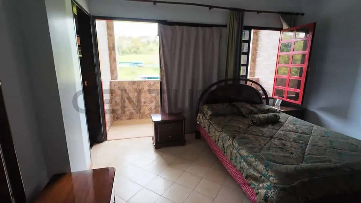 View 25