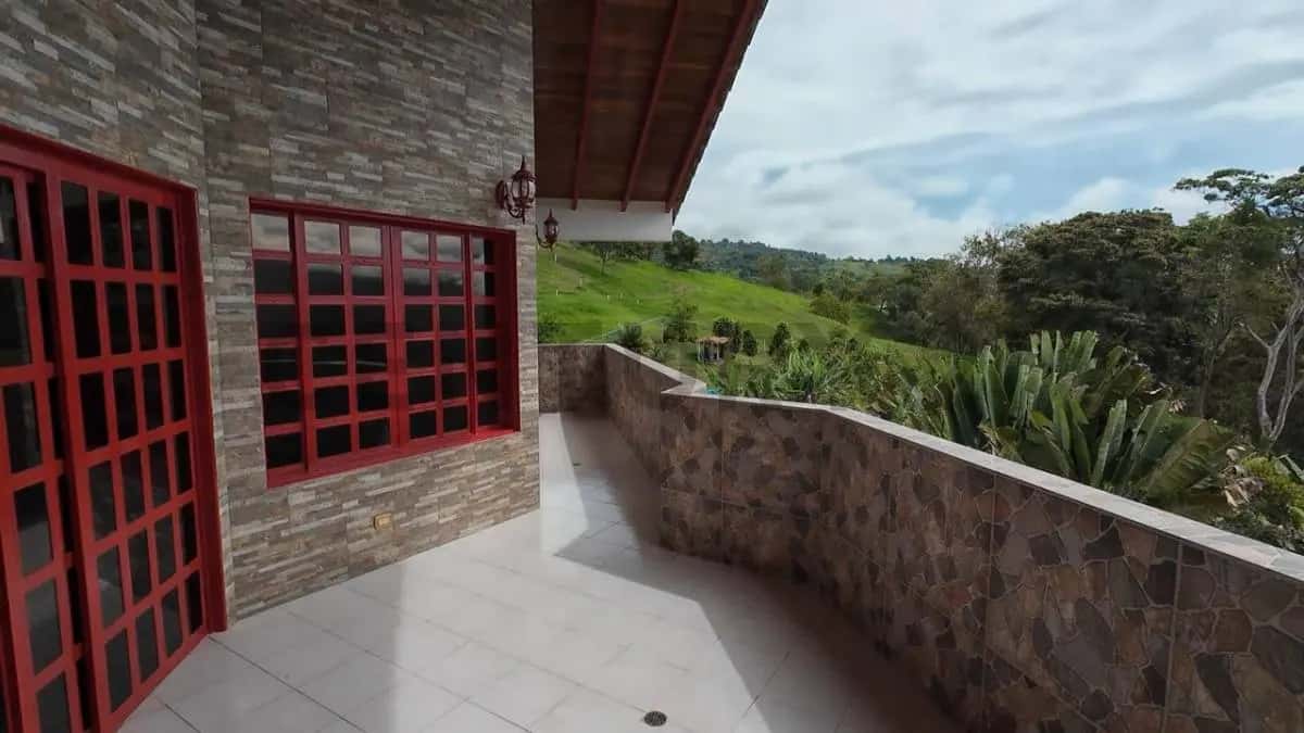 View 29