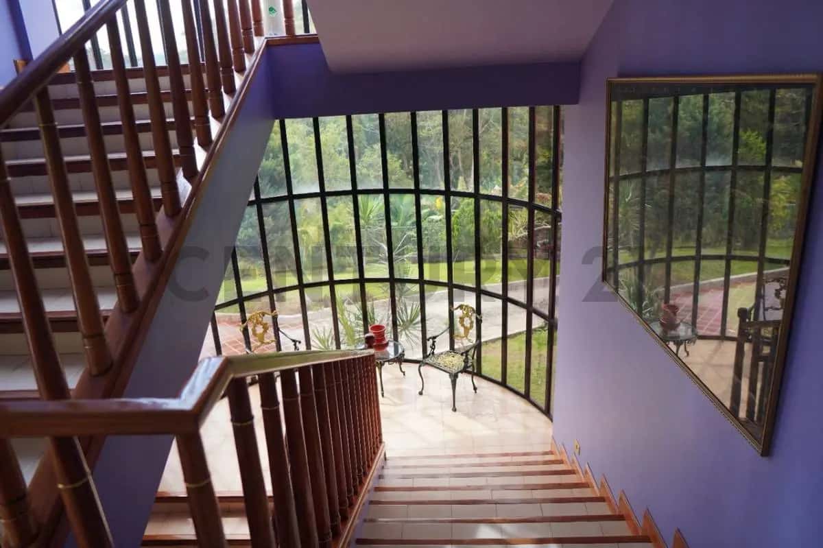 View 30