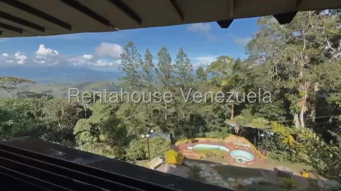 View 11