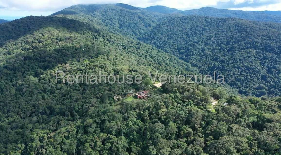 View 23