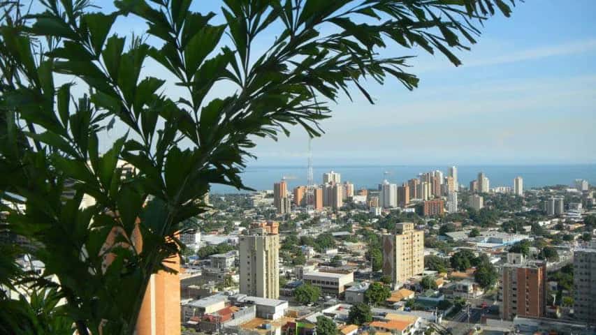 Vista 26