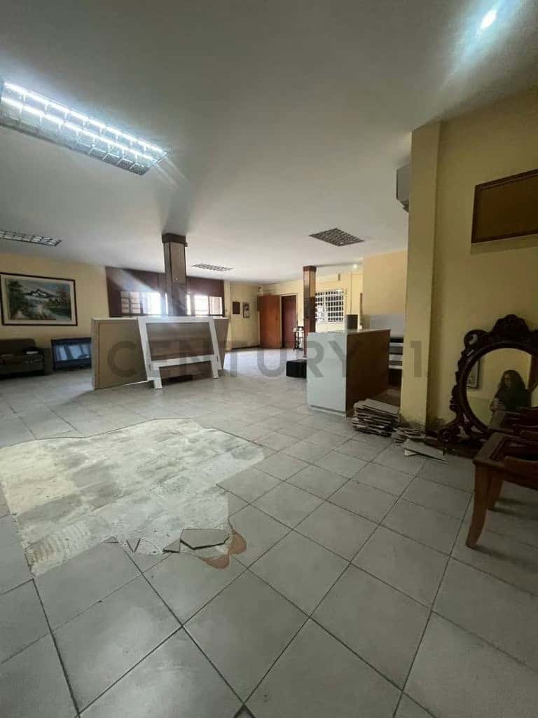 Vista 6