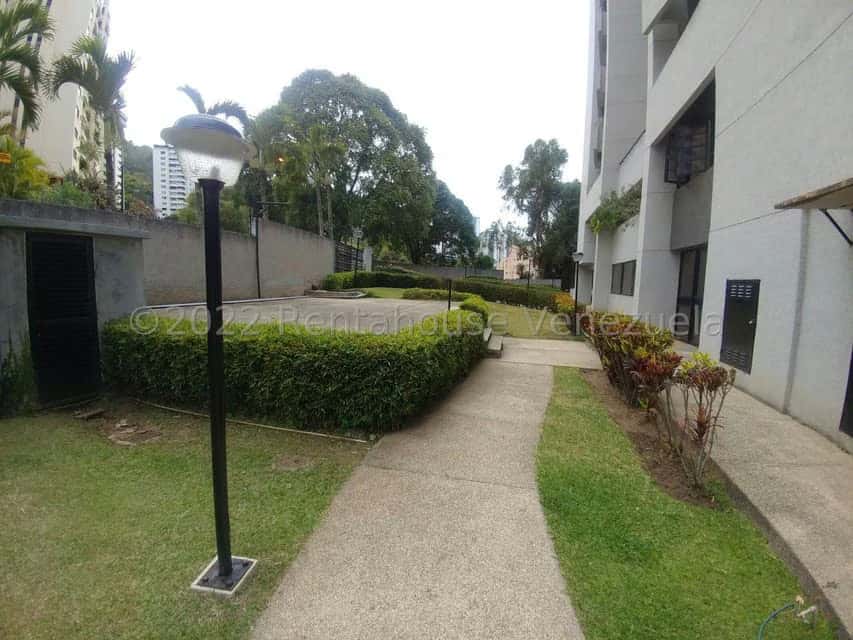 Vista 46