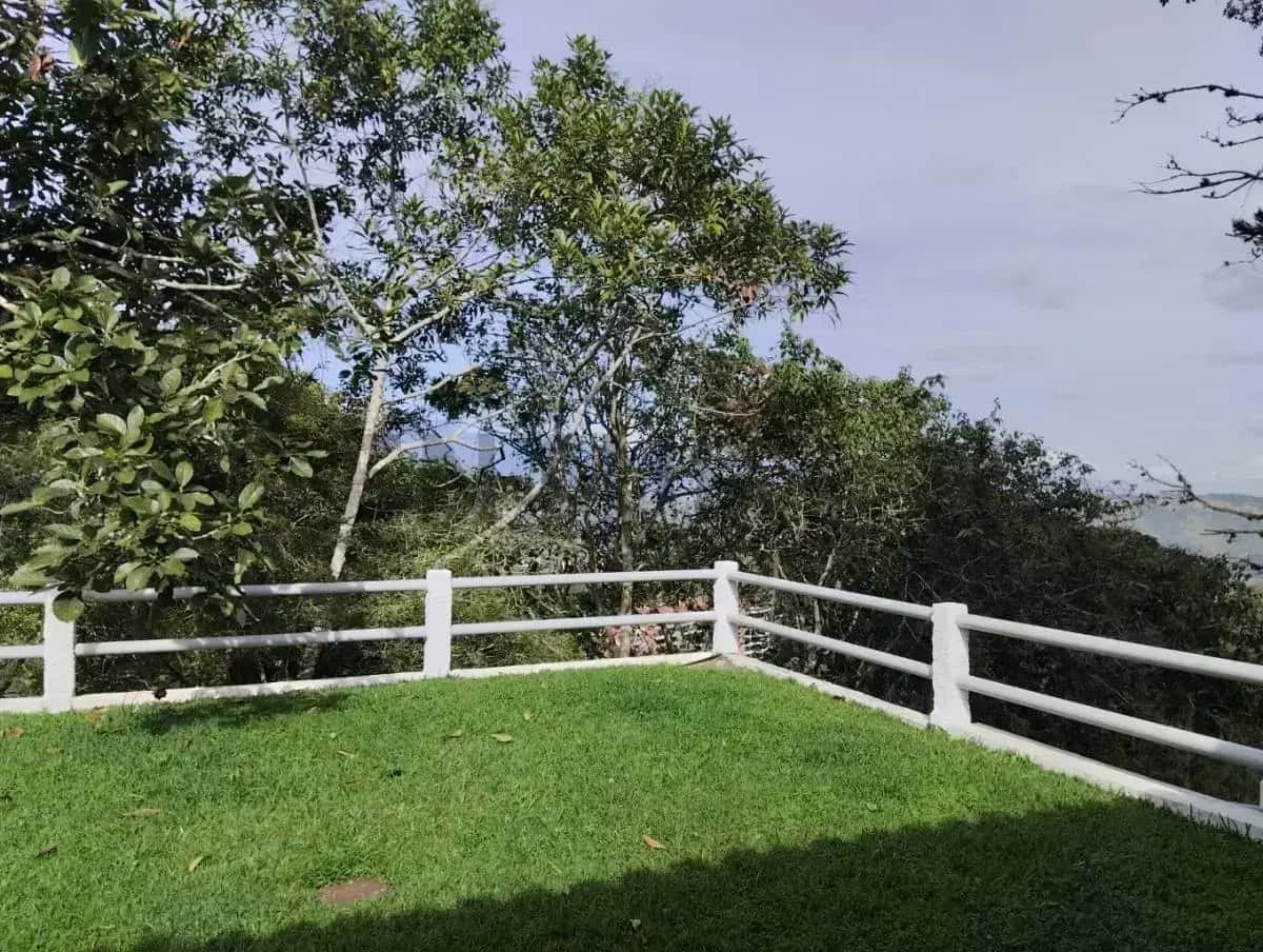 View 10
