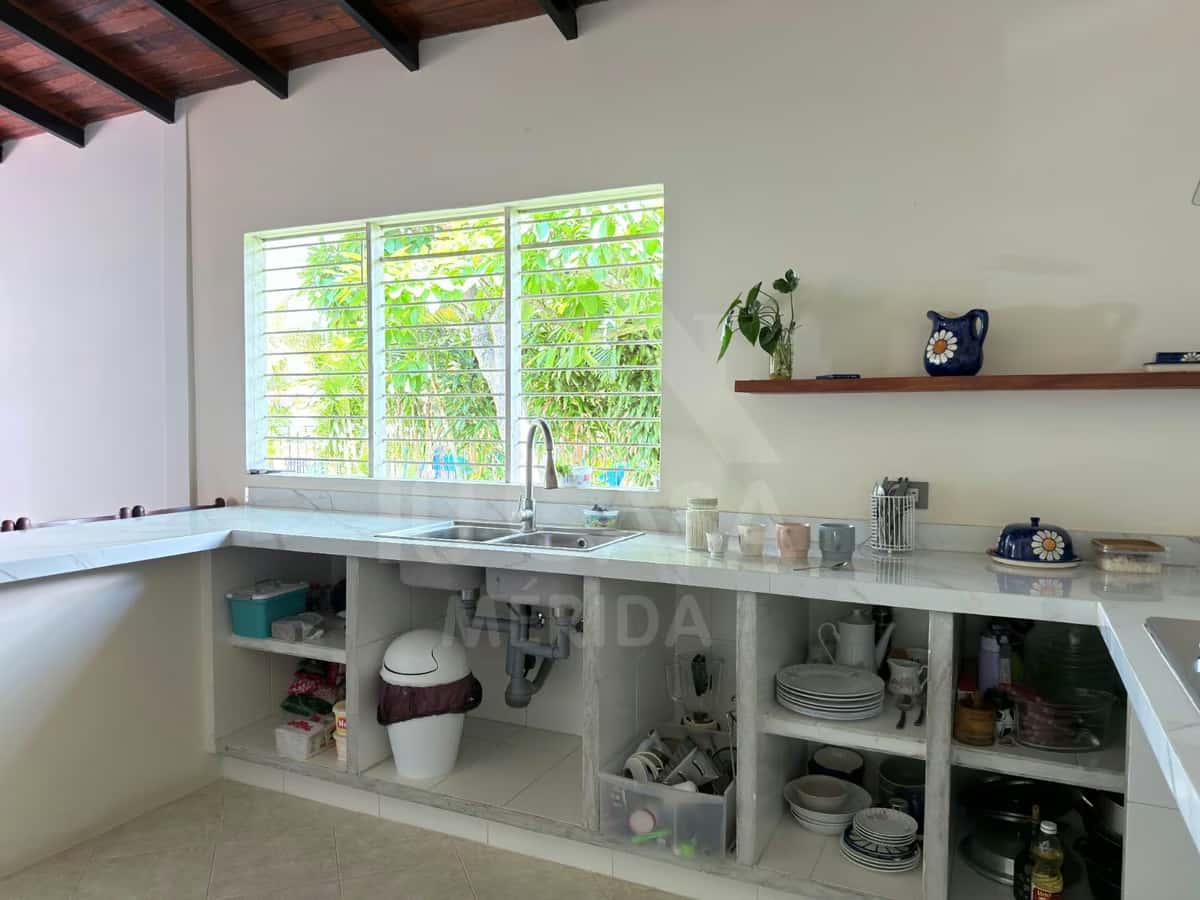 Vista 3