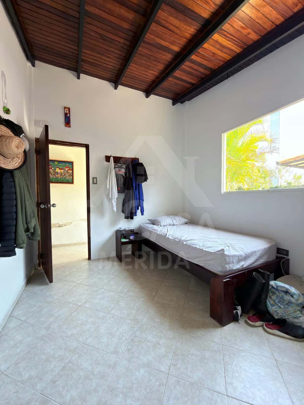 Vista 6