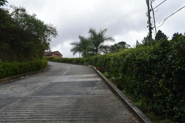 View 13