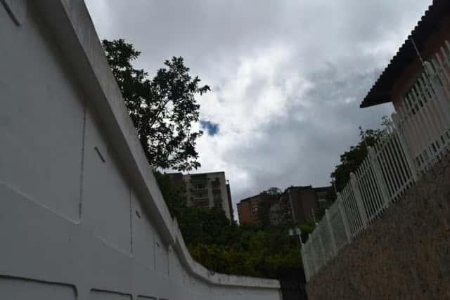 View 14