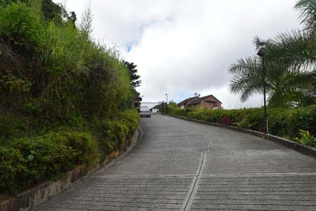 View 15