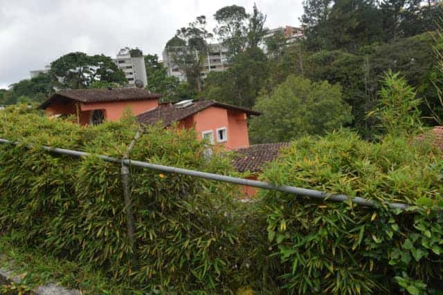 View 16
