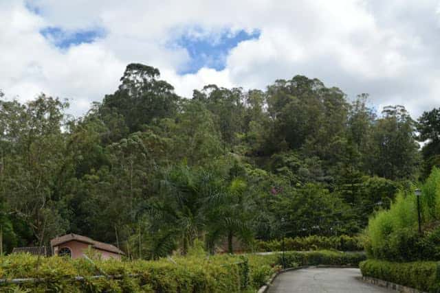 View 6