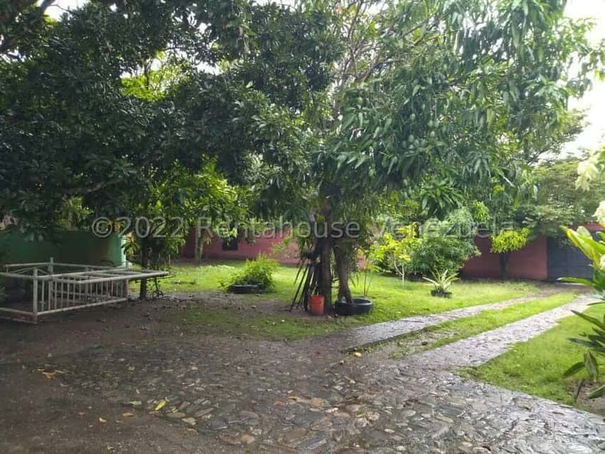View 23