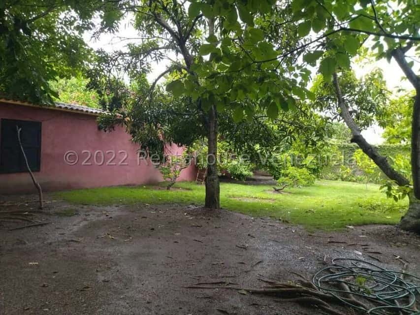 View 37