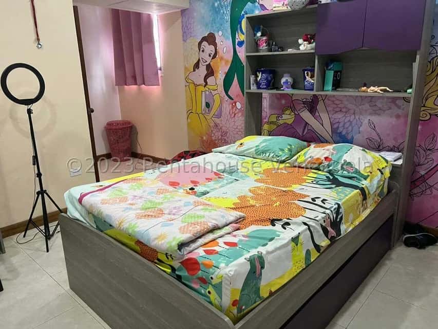 Vista 24