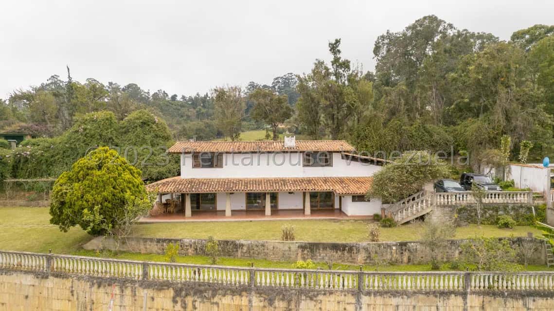 Vista 6