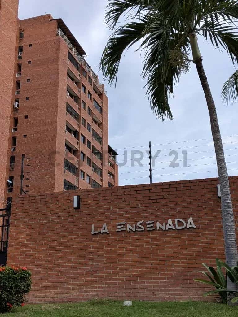 Vista 19