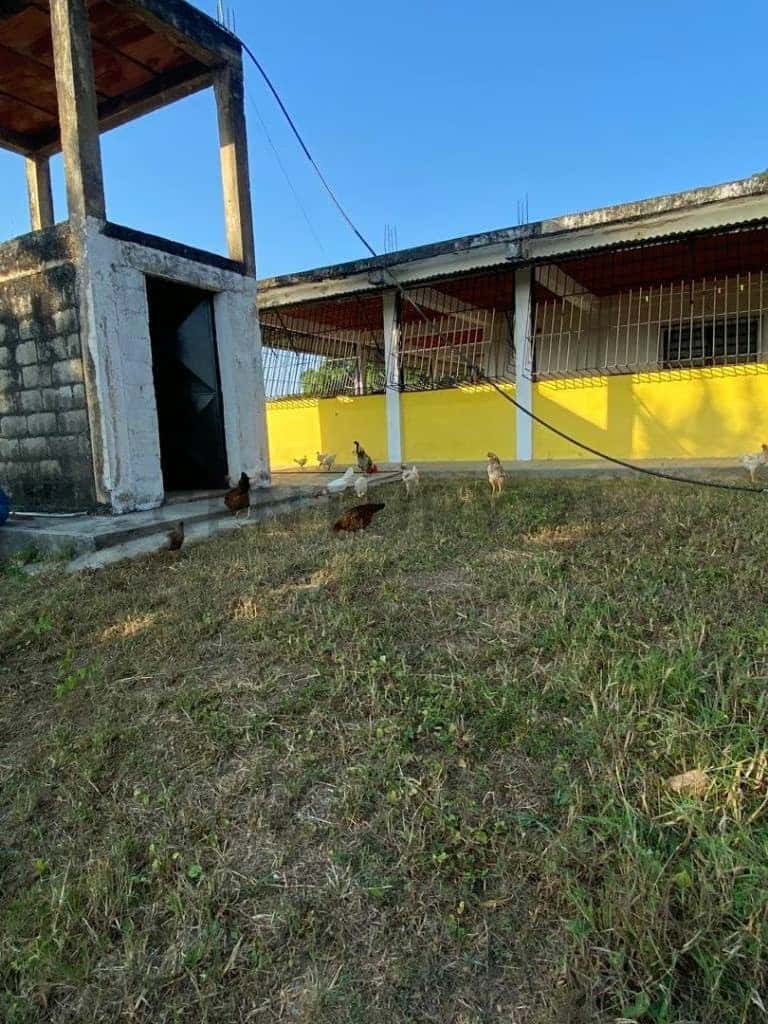 Vista 7