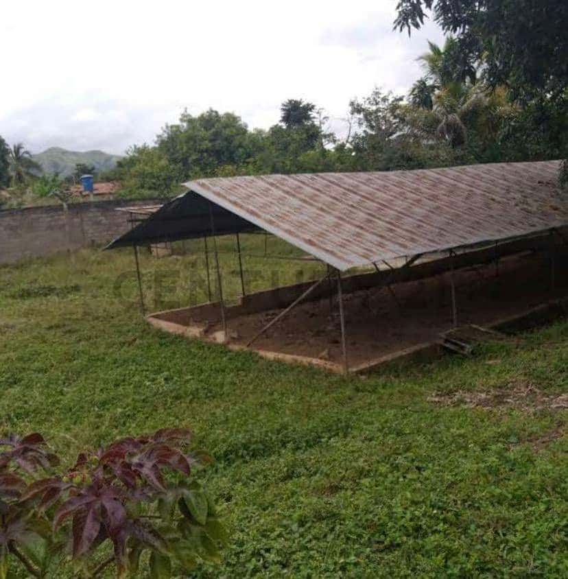 Vista 9