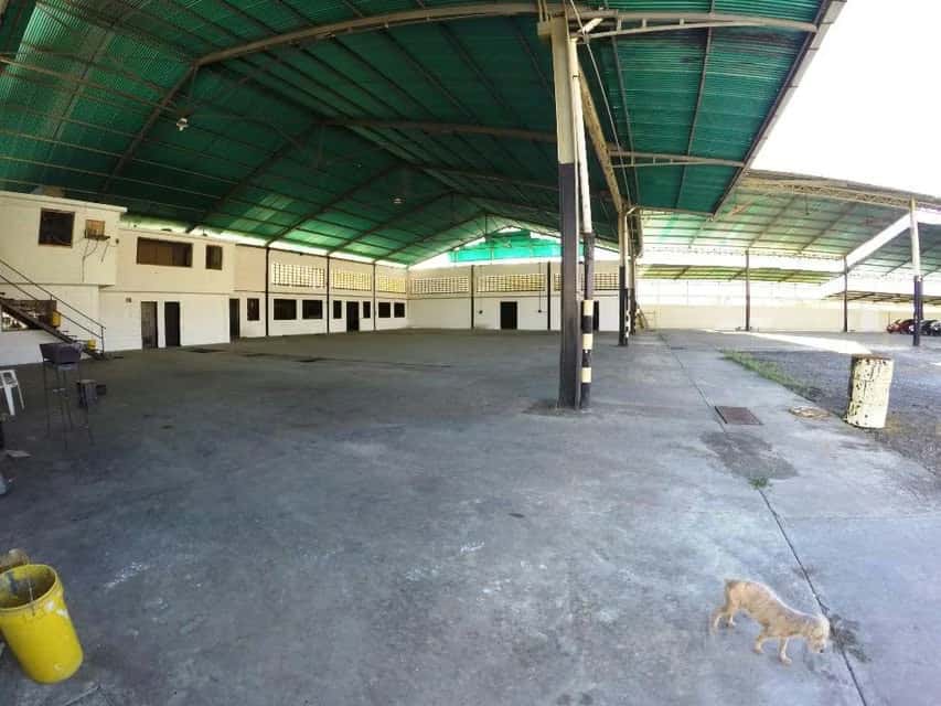 Vista 3