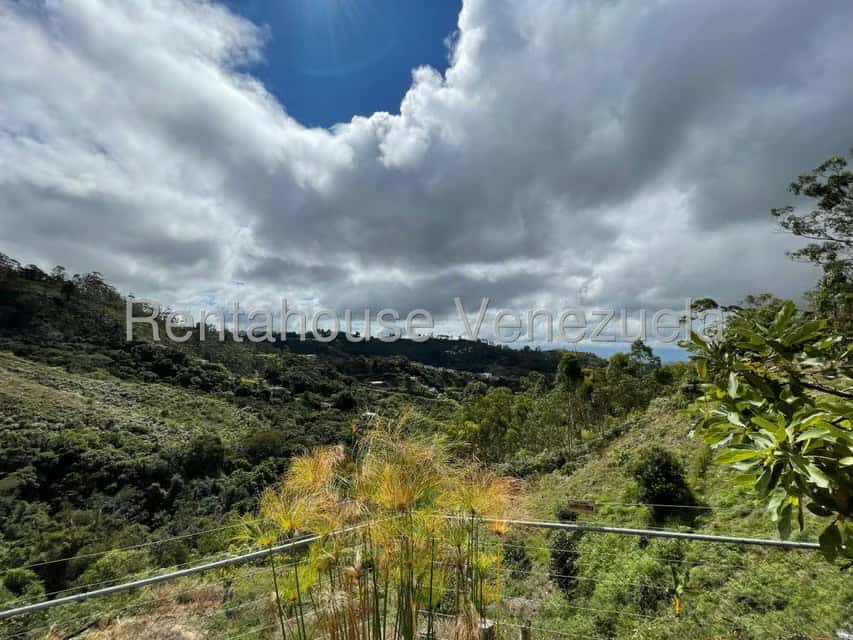 View 26