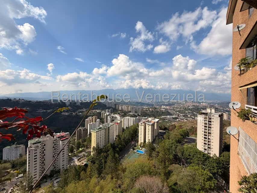 View 11