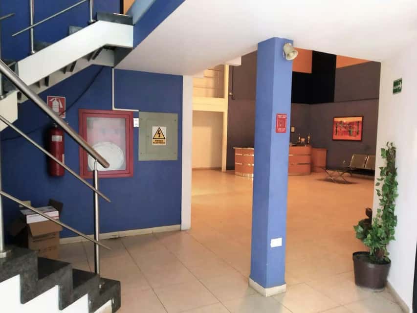 View 25
